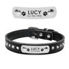 Black leather cat collar with name tag