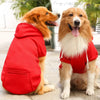 Winter coat for dogs - PMMNAPOLES