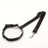 Seat belt for dogs and cats - PMMNAPOLES