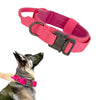 Pink tactical dog collar on a dog