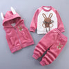 Winter clothing sets for baby boys