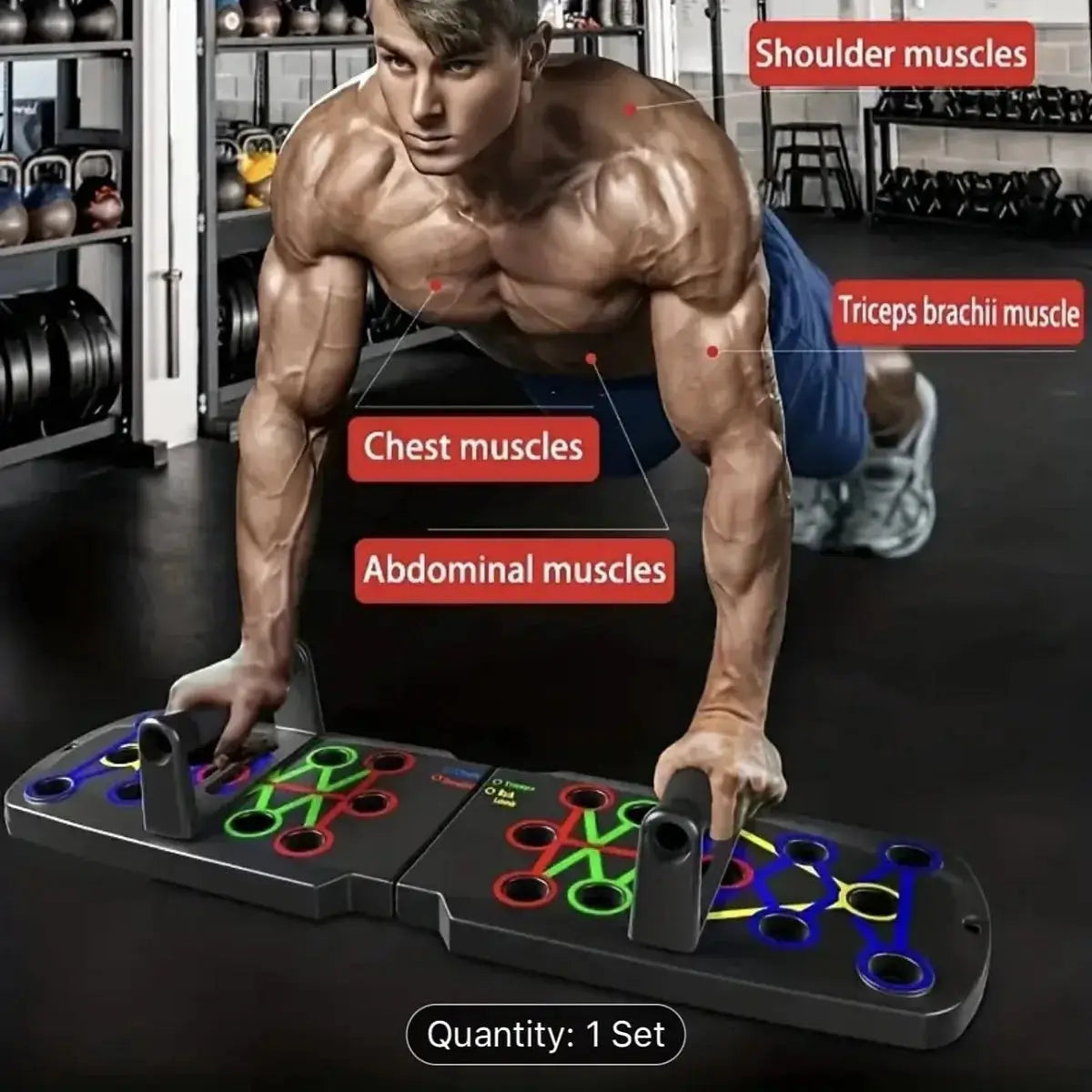 Push-up board system in use showing muscle groups targeted including chest, triceps, shoulders, and abs. Perfect for home strength training and body sculpting.