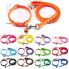 Cute pet traction collar - PMMNAPOLES