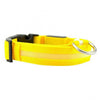 LED Anti-Lost Dog Collar - PMMNAPOLES