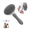 Brush for cats and dogs - PMMNAPOLES