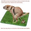 Artificial grass mat for dog bath - PMMNAPOLES