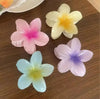 Four colorful flower hair clips held in hand