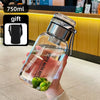 750ml glass water bottle with carrying case