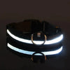 Safety dog collar with LED light - PMMNAPOLES