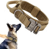 Khaki tactical dog collar on a dog