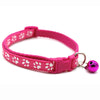 Collar for small dogs and cats - PMMNAPOLES