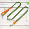 Green nylon puppy leash with orange handle