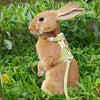 New cute rabbit harness and leash set - PMMNAPOLES