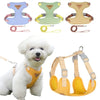 Puppy harness and leash - PMMNAPOLES