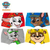 Vibrant Paw Patrol boys' briefs, 4-pack