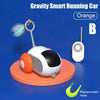 Remote control pet toy - PMMNAPOLES