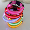 LED Anti-Lost Dog Collar - PMMNAPOLES