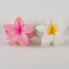 Pink and white flower hair clips on white background