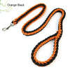 Orange and black braided dog leash