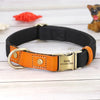 Personalized Nylon Puppy Collar - PMMNAPOLES