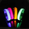 LED Anti-Lost Dog Collar - PMMNAPOLES