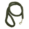 Green braided dog leash