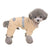 Leather collar jumpsuit for dogs with ring - PMMNAPOLES