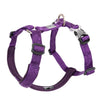 Pet Harness with Chest Strap for Dogs and Cats - PMMNAPOLES