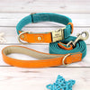 Teal personalized nylon puppy collar with leash