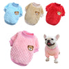 Warm winter clothes for small dogs - PMMNAPOLES