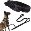 Black tactical dog collar and leash set with dog