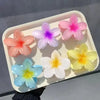 Six colorful flower hair clips on white surface