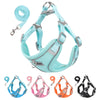 Small dog harness and leash set - PMMNAPOLES