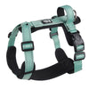 Escape proof dog harness with handle - PMMNAPOLES