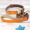 Brown personalized nylon puppy collar with leash