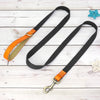 Dark gray nylon puppy leash with orange handle