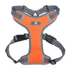 Harness for medium and large dogs - PMMNAPOLES