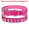 Personalized dog collar - PMMNAPOLES