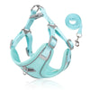 Small dog harness and leash set - PMMNAPOLES