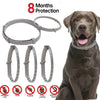 Flea and tick collar for dogs and cats - PMMNAPOLES