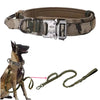 Camouflage tactical dog collar and leash set with dog