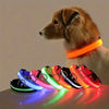 Safety dog collar with LED light - PMMNAPOLES