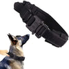 Black tactical dog collar on a dog