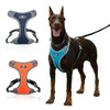 Harness for medium and large dogs - PMMNAPOLES