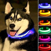 LED Anti-Lost Dog Collar - PMMNAPOLES