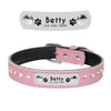 Pink leather cat collar with name tag