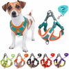 Adjustable dog harness and leash set for small and medium dogs - PMMNAPOLES