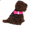 Adjustable Dog Cat Harness Walking Leash - PMMNAPOLES