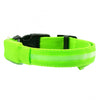 LED Anti-Lost Dog Collar - PMMNAPOLES