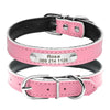 Pink leather cat collar with name tag